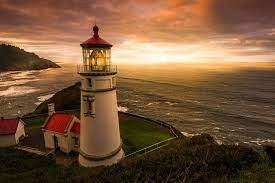 This beautiful photo